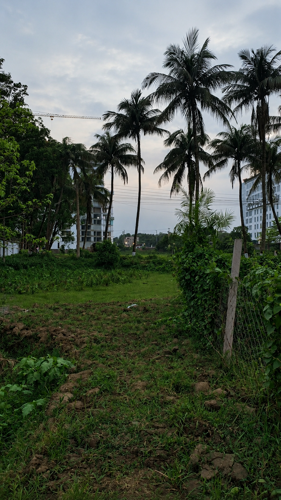 Image Jul 1, 2026, 11_07_01 AM পিটি আই রোডে ৫ কাঠা জমি বিক্রয়