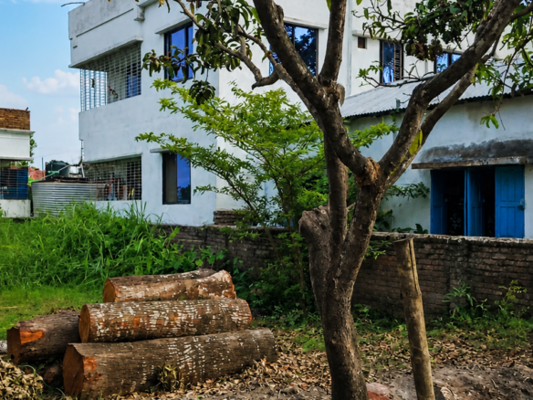 চাউলের বর্ডার সংলগ্ন হরিশংকরপুর এলাকায় সাড়ে ৩ কাঠার একটি প্লট বিক্রয় হবে