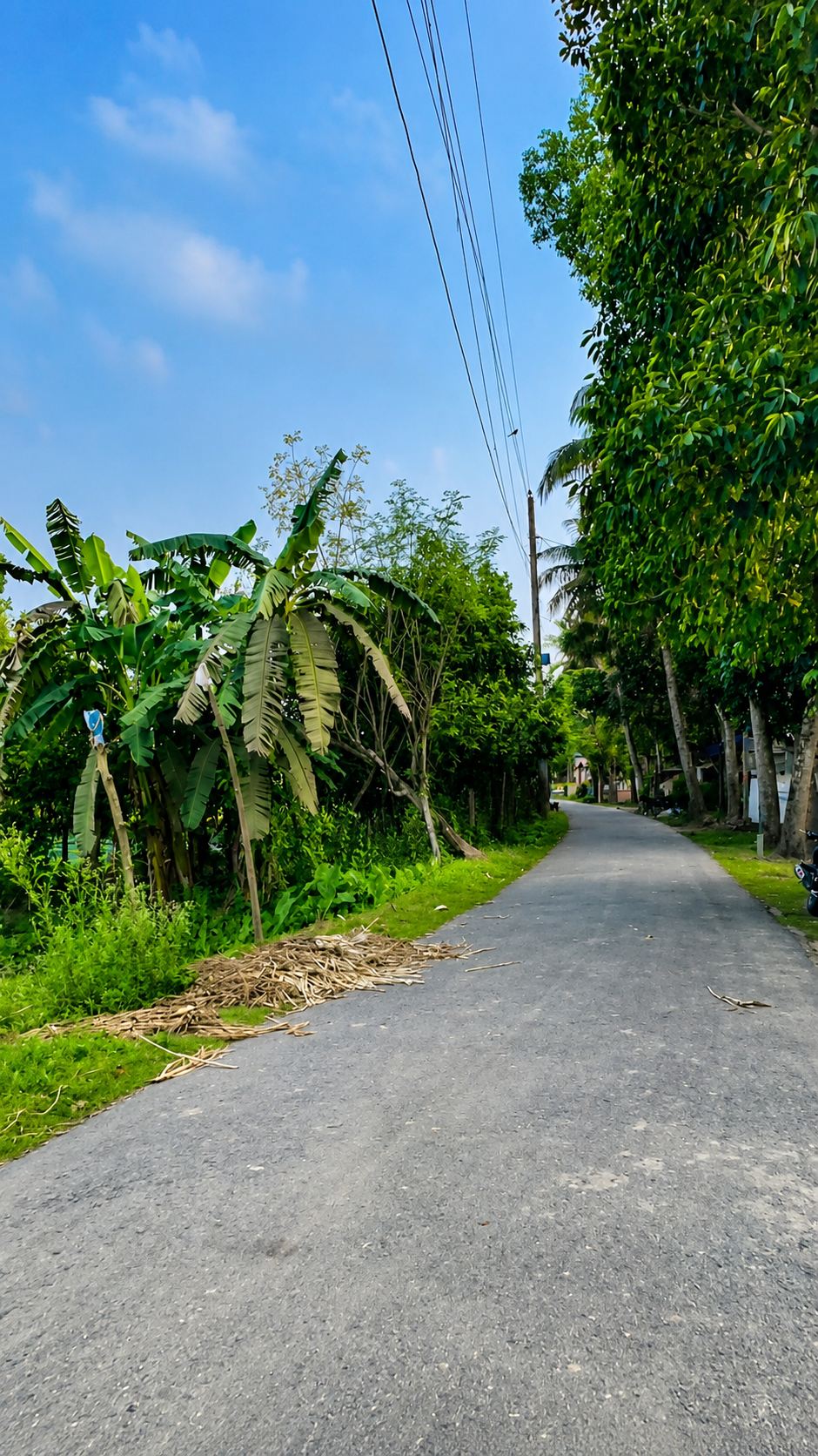 বটতৈল ভাদালিয়াপাড়া, মশলাগ্রামে রাস্তার সাথে ৩২.৬ শতক জমি