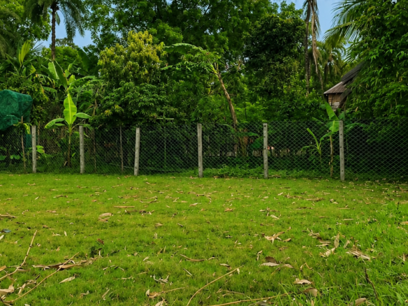 বটতৈল ভাদালিয়াপাড়া, মশলাগ্রামে রাস্তার সাথে ৩২.৬ শতক জমি