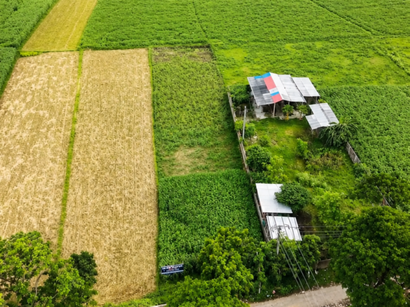 ধান গবেষণা ইন্সিটিউটের পাশেই রাস্তার সাথে ২২ কাঠার একটি প্লট বিক্রয় চলছে