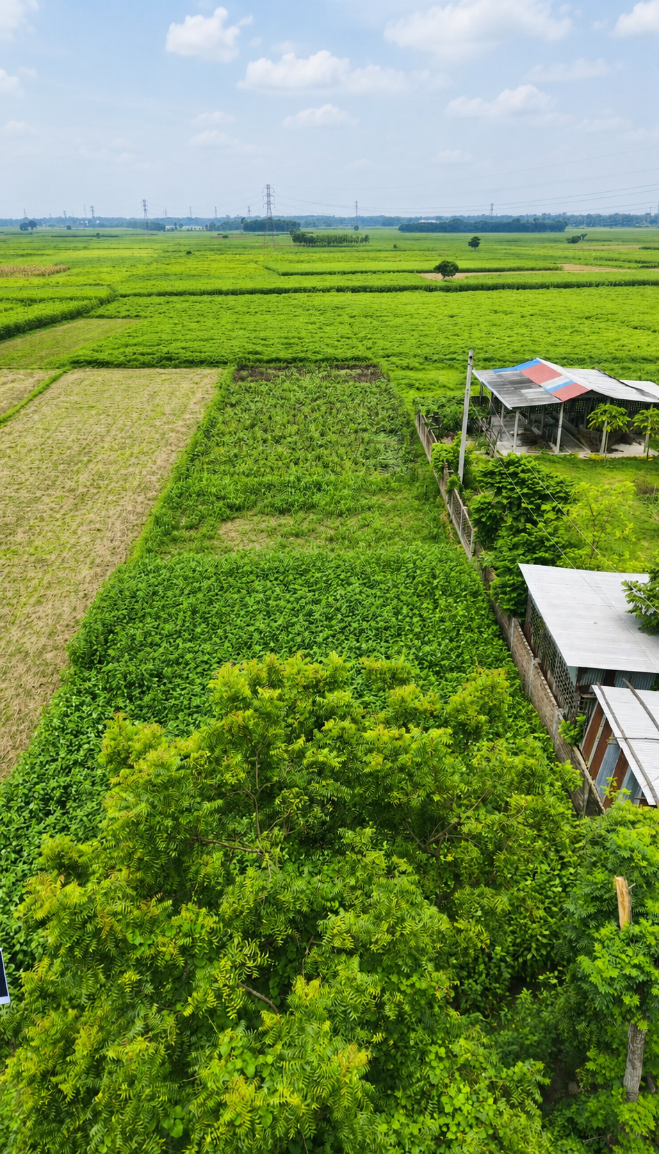 ধান গবেষণা ইন্সিটিউটের পাশেই রাস্তার সাথে ২২ কাঠার একটি প্লট বিক্রয় চলছে