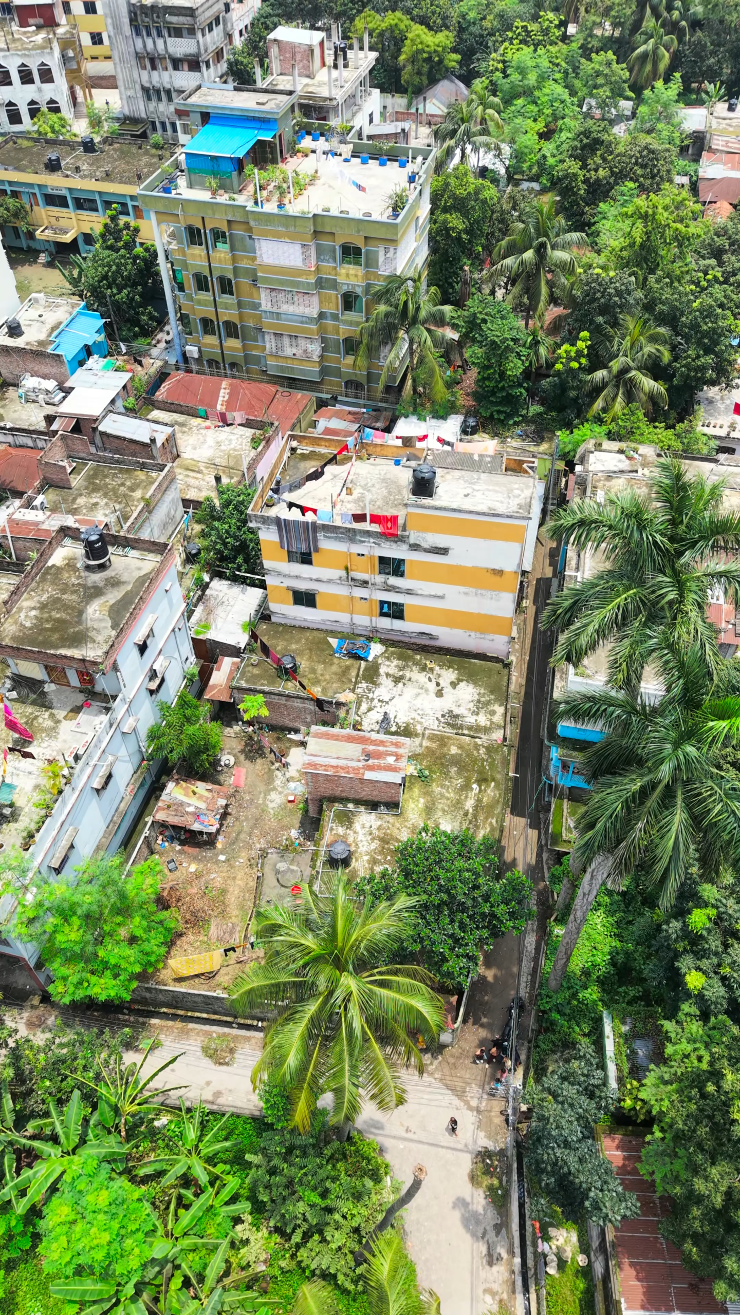 Aruapara 1